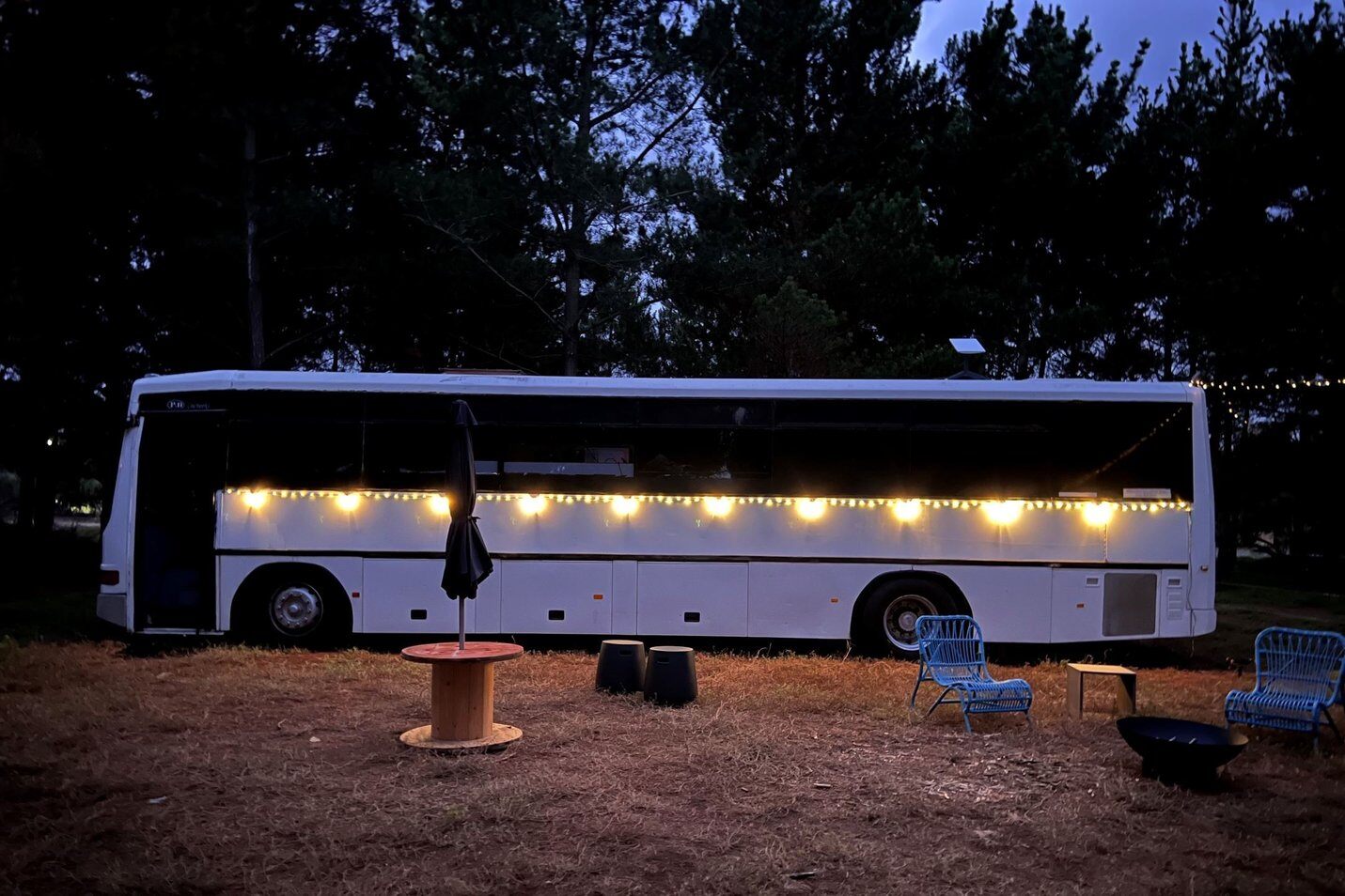 BussieMcBusface-_web.width-1431