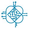 icon4